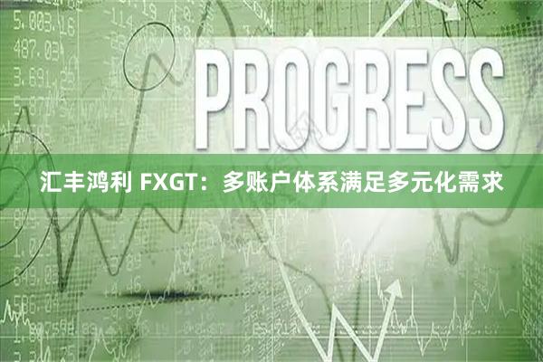 汇丰鸿利 FXGT：多账户体系满足多元化需求