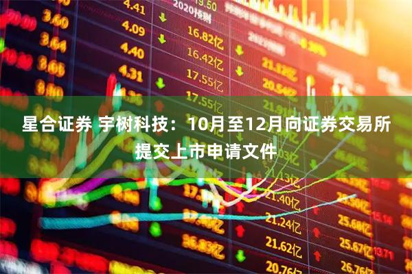 星合证券 宇树科技：10月至12月向证券交易所提交上市申请文件