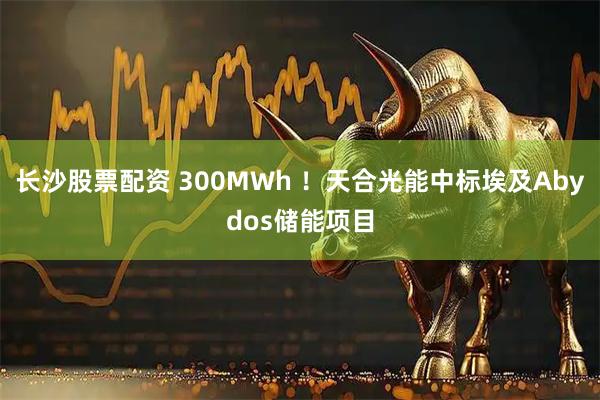 长沙股票配资 300MWh ！天合光能中标埃及Abydos储能项目